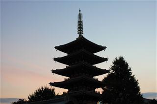浅草寺！！