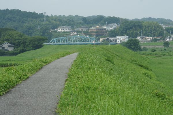 今日のロードバイク