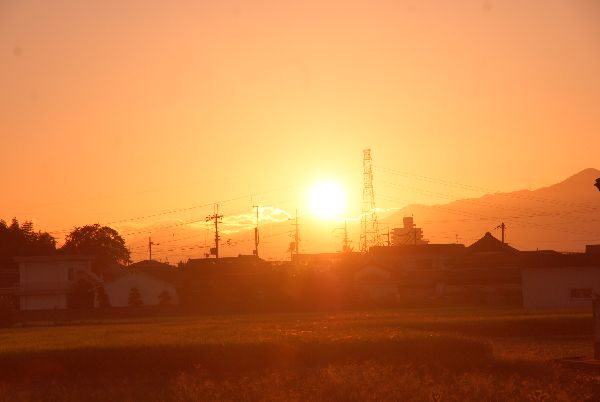 今日の朝