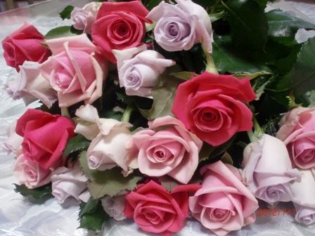 ¡Qué hermosas rosas!