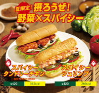 「摂ろうぜ！野菜×スパイシー」キャンペーン