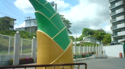 気になりまして。。。。