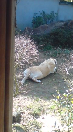 探しものですか？
