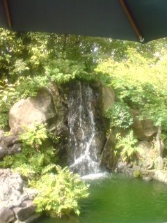 お気に入り♪