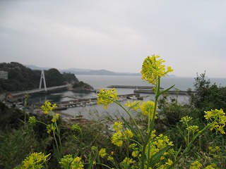 いよいよ来週・・・♪