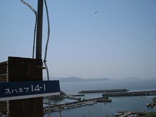 いよいよ本格的GW突入♪
