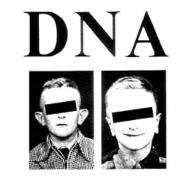 DNA（2/3）