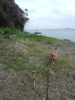 浜っ子