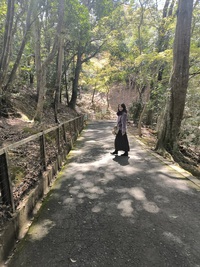 桜サクラさくら