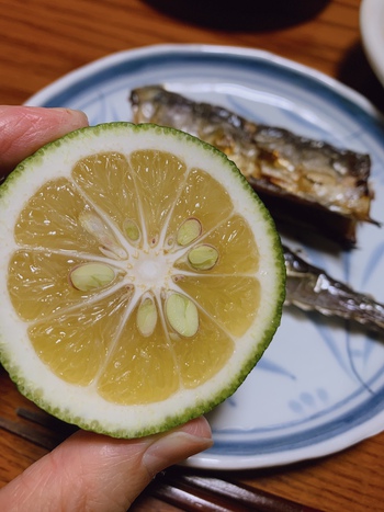 秋刀魚と