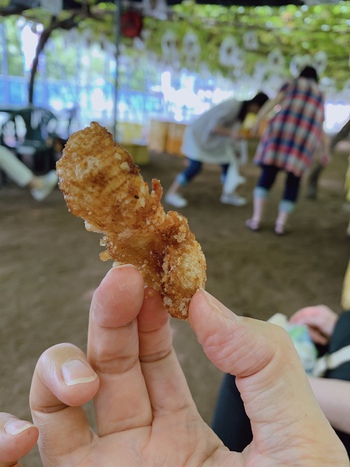 ぶどう狩り