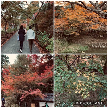 もみじめぐり②、③