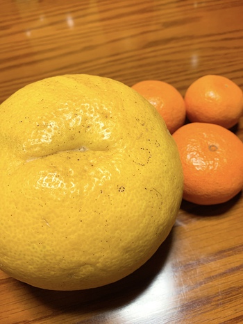 館長から