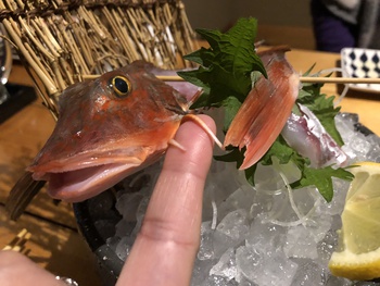 人生色々