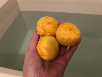 今年も小ぶり