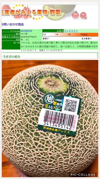 糖度を見たら