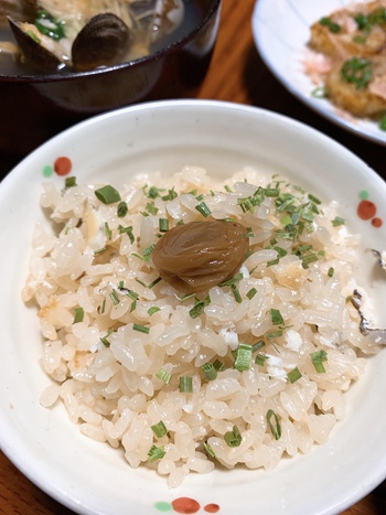 やっと鯛めし
