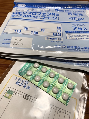 今月の出費