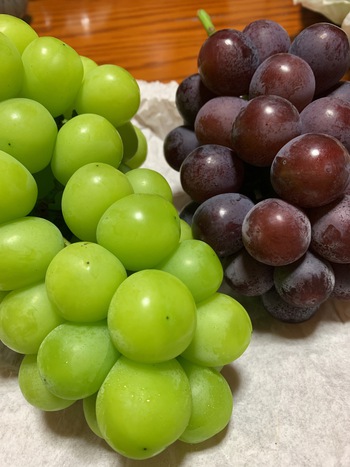晩御飯は色々