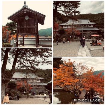 もみじめぐり②、③