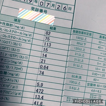 今年は早目