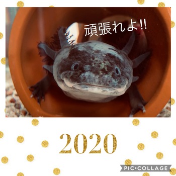 始まる