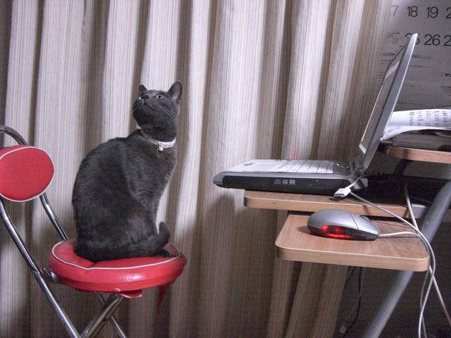 あったかい場所を
