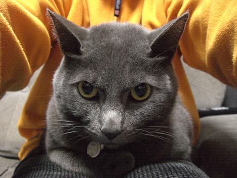 やっぱり今日も