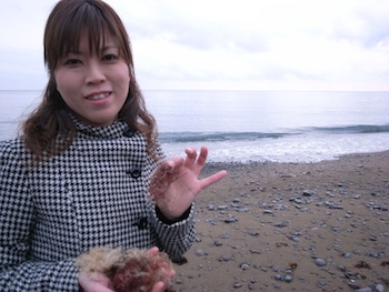 テングサひろいに行ってきました!