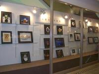 展示ボード☆