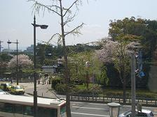 ステキな景色☆