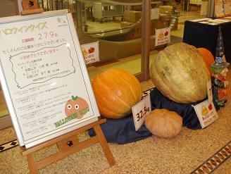 ☆クイズ終了☆