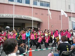 ☆紀州よさこい祭り☆