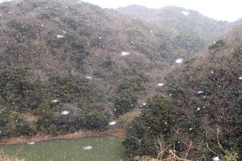 加太　雪景色