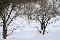 氷莫　玉簾の滝　雪見旅行