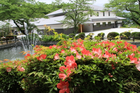 京都　薬用植物園