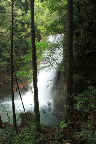 熊野川・桑の木の滝