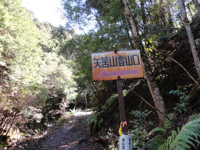 日高川町・矢筈岳に登りました！
