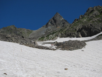 にこ福に夏山からの便り