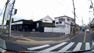 これ何だろ？