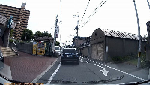 サワーズグミ？