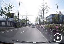 この感じが良い