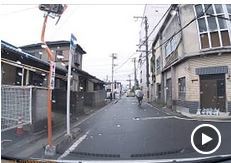 我が道を行く