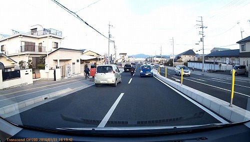 ほんまに居った！