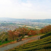 初登頂