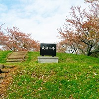 初登頂