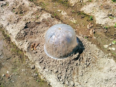 ただいま準備中
