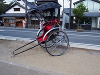 めっちゃ高！