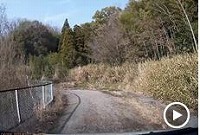うそナビ