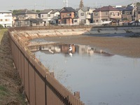 コウノトリのいる風景(岬町) 2016/11/19 12:47:24